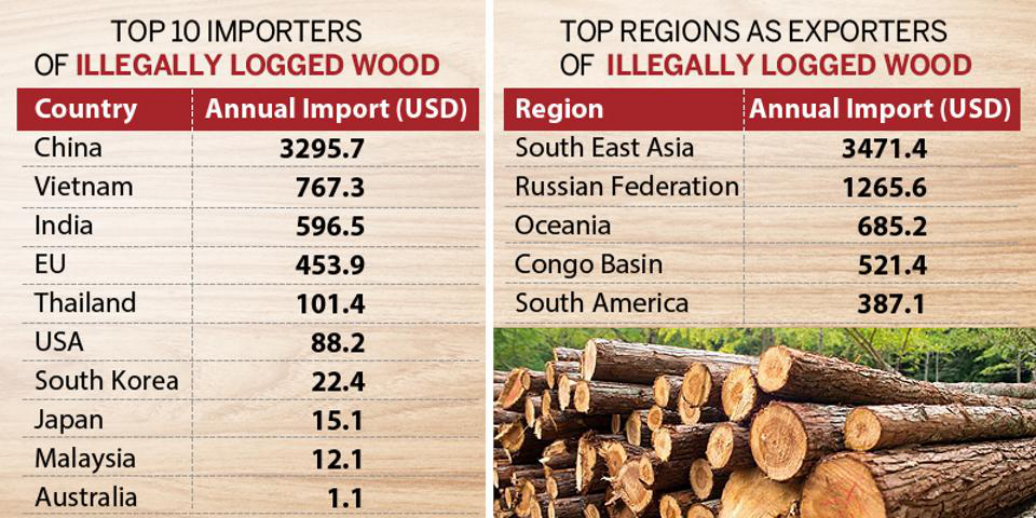 wood based industries in india